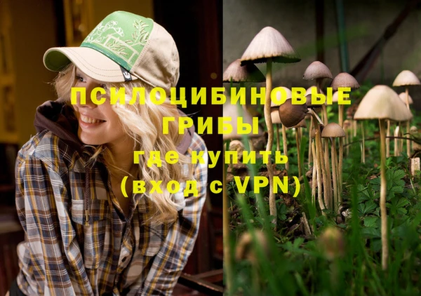 spice Заводоуковск