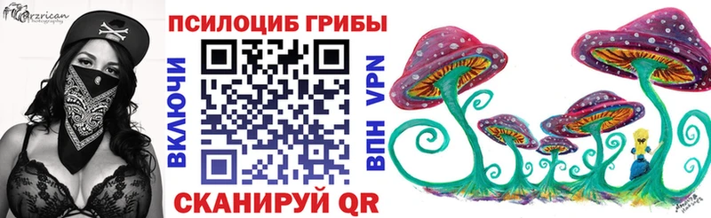 Купить закладки  Саянск  Псилоцибиновые грибы мицелий 